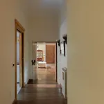 Iflat Elegant And Luxury Near Pantheon Apartment Rome